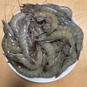Frozen Ecuador Shrimp